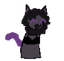 juniper